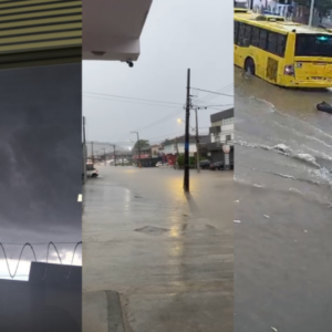 Foto: Sarah Falcão | redes sociais | câmeras de monitoramento | Joinville Sempre Alerta