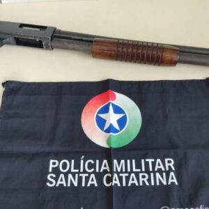 Imagem: Polícia Militar | Reprodução