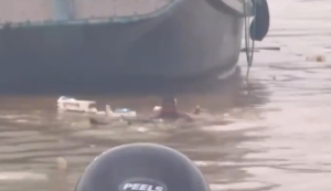 Foto: Itajaí Mil Grau/Cedida ao SCC SBT