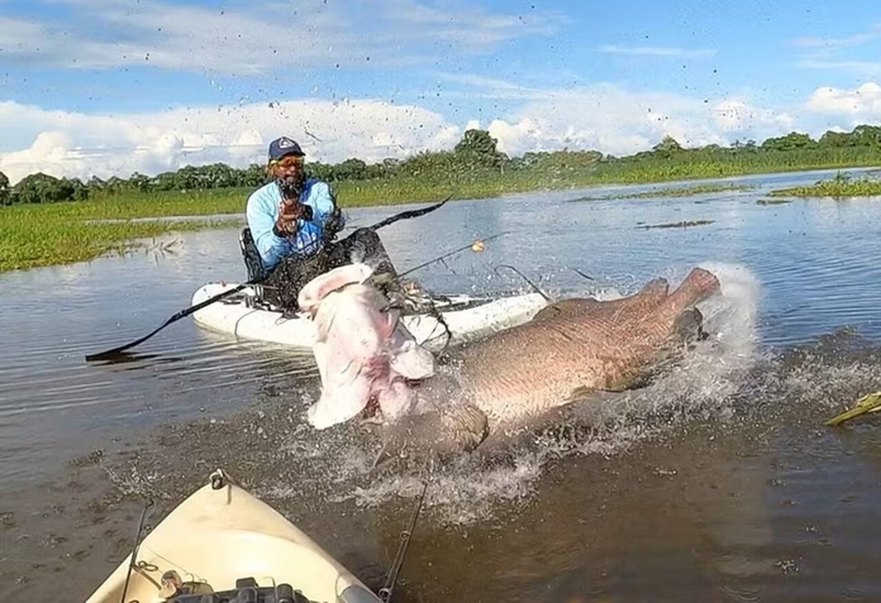 “Indescritível”, diz pescador que fisgou peixe de quase 2 metros. Veja vídeo!