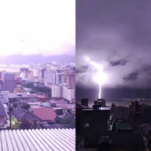 Imagem: Cedida/karinyrizatto