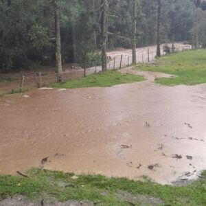 Divulgação/ Rádio Gralha FM 