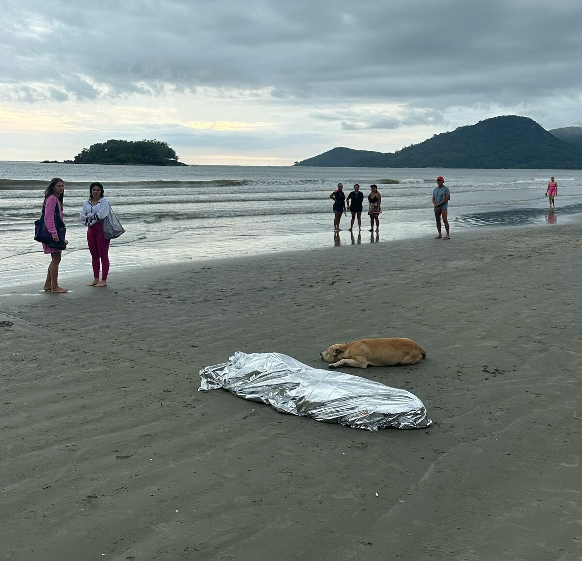 Homem morre afogado em BC e cachorro se recusa a deixar o corpo. – Foto: CBMSC/Reprodução