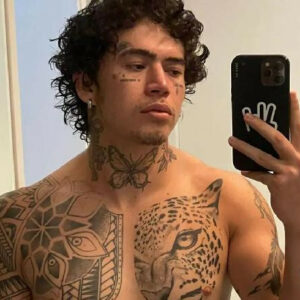 Whindersson Nunes se interna em clínica psiquiátrica | Foto: Reprodução/Fofocalizando - SBT 