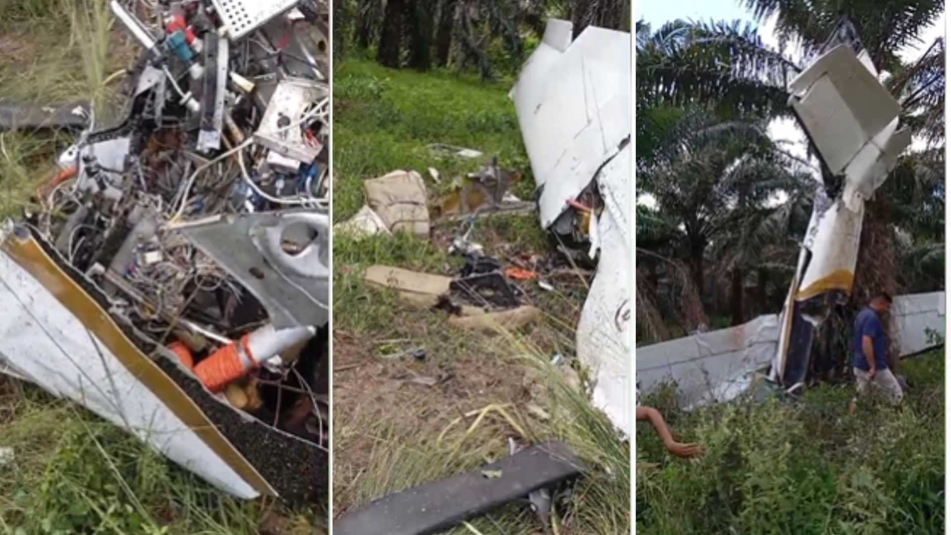 Avião de pequeno porte cai no Pará. – Foto: Montagem/Reprodução