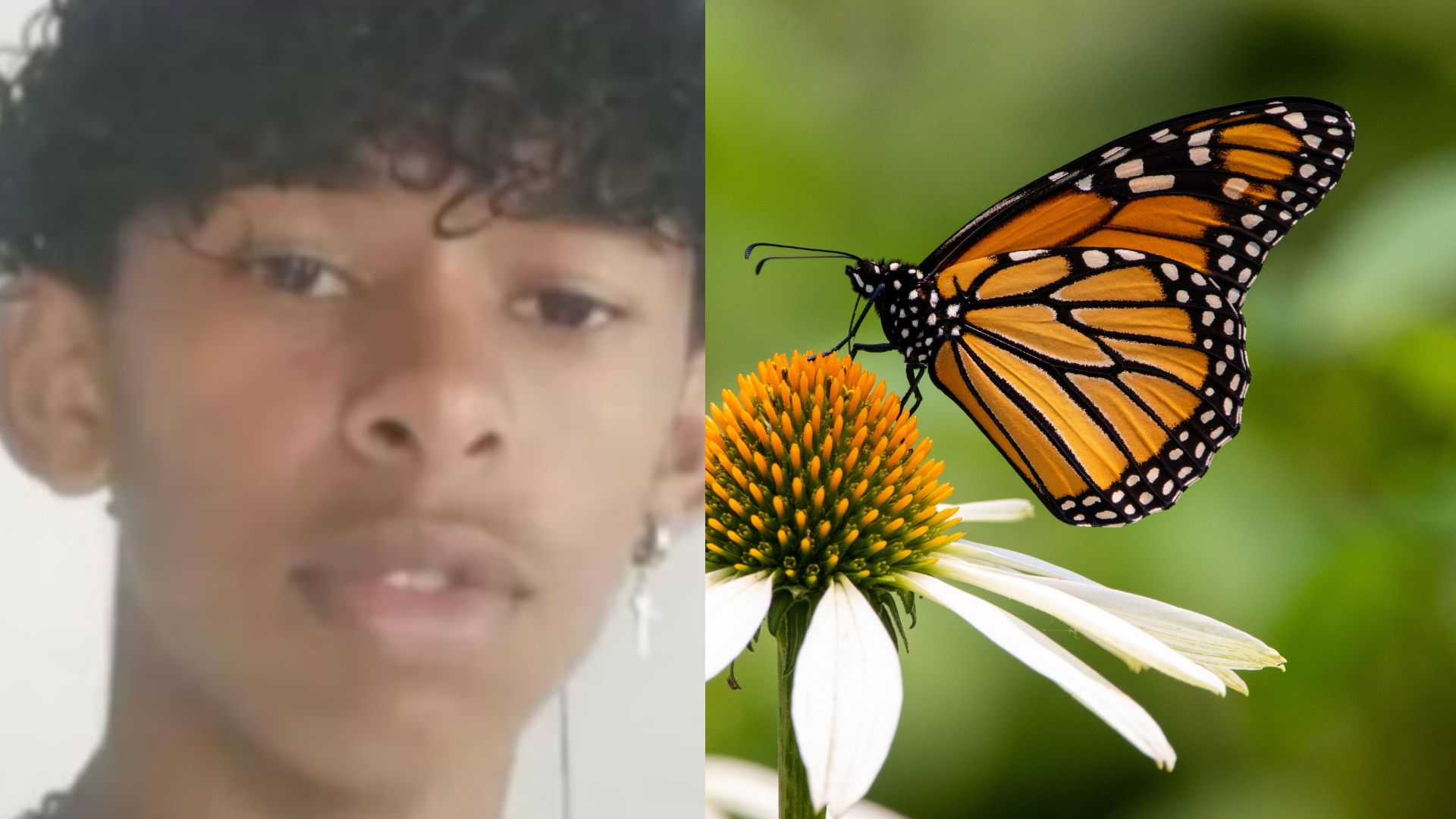 Após injetar líquido de borboleta na perna adolescente morre. – Foto: Metrópoles/Canva/Reprodução