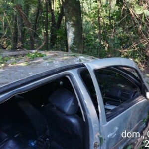 Carro capota e mata mulher na BR-282 em SC | Foto: CBMSC