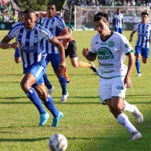 Foto: João Heemann/ACF.