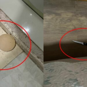 Ataque brutal: homem arranca silicone da esposa com faca após briga | Foto: Reprodução, via Metrópoles.