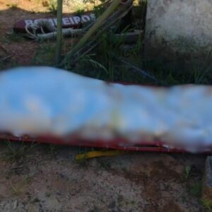 Homem é encontrado morto à deriva em rio de SC | Foto: CBMSC
