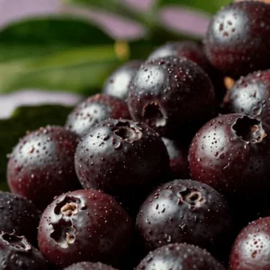 Jabuticaba | Foto: Freepik, via SBT News