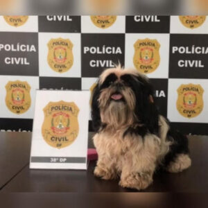 Imagem: reprodução/ Metrópoles