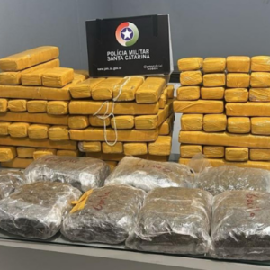 PM apreende 65 kg de drogas em abordagem na BR-280 em SC. - Foto: PMSC/Reprodução