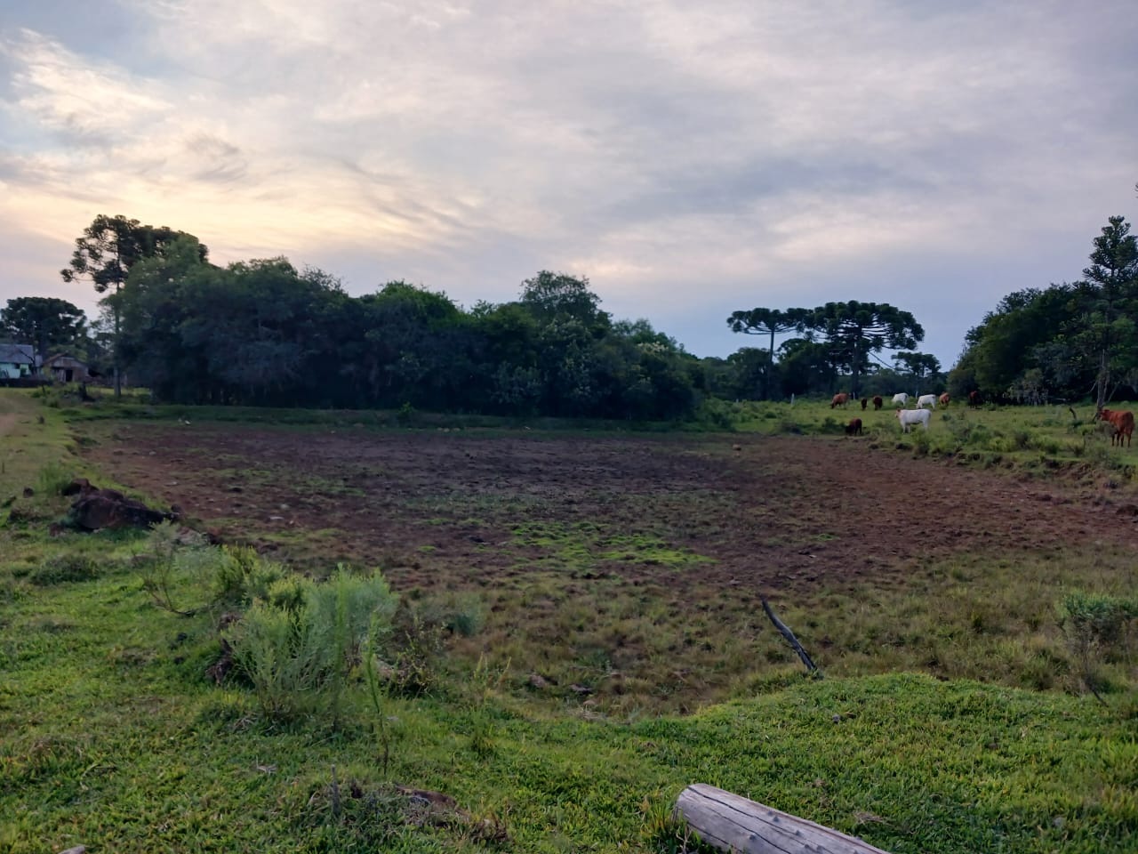 Capão Alto decreta situação de emergência devido à grave estiagem | Foto: Divulgação prefeitura de Capão Alto
