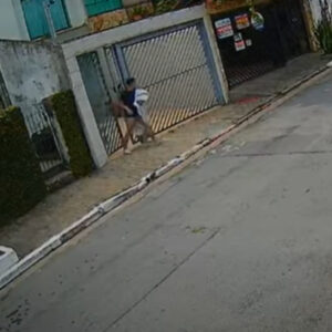 Após invadir casa e estuprar idosa acamada, homem se entrega por medo de represálias | Imagem: sbt news