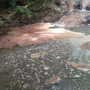 Empresas são flagradas poluindo rios e causa morte de peixes em SC. - Imagem: PMA/Reprodução