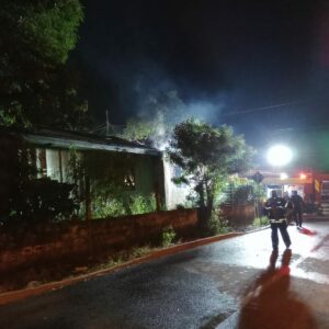Filhotes de gato são salvos em incêndio em casa de Chapecó | Imagem: Corpo de Bombeiros/Reprodução