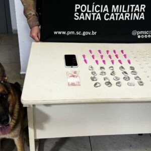 Apreensão ocorreu em Chapecó | Imagem: Polícia Militar/Reprodução