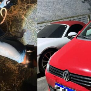 Homem que tentou matar amiga por ciúmes é preso em SC | Imagens: reprodução/ Polícia Civil