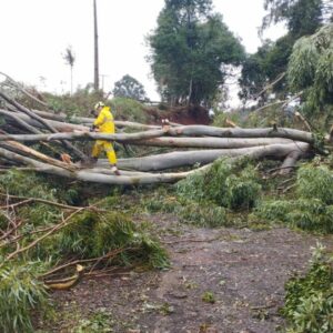 Cidade de SC decreta emergência após microexplosão; entenda | Foto: Defesa Civil de Chapecó/Reprodução