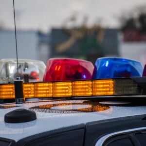 Pitbull escapa e ataca homem ao tentar proteger seu cão em Curitibanos | Imagem ilustrativa, foto: Pixabay
