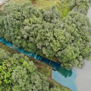 As equipes da Secretaria de Meio Ambiente seguem empenhadas em identificar a origem da poluição | Foto: Prefeitura de Otacílio Costa