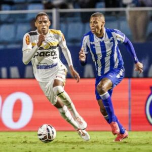 Avaí empata com o Novorizontino em noite de estreia na Série B | Foto: Fabiano Rateke/Avaí F.C./Divulgação