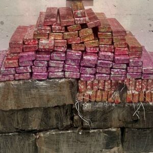 Mais de 230 kg de maconha são apreendidos em operação no Contorno Viário de SC. - Foto: PMSC/Reprodução