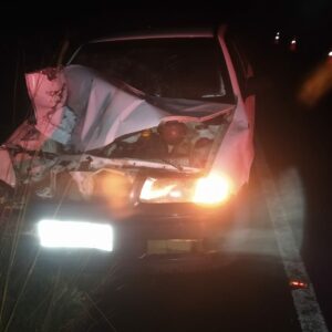Bovino solto causa acidente e deixa feridos na SC-390 na Serra | Foto: PMRV/SC