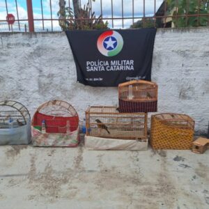 Aves silvestres mantidas em cativeiro ilegal são resgatadas em Lages | Foto: CPMA Lages
