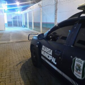 Ação ocorreu durante fiscalização | Imagem: Guarda Municipal / Reprodução