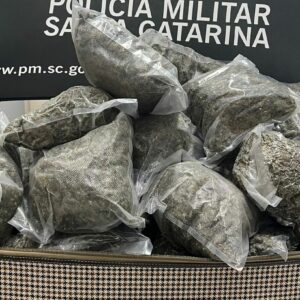 Operação ocorreu em Joaçaba | Imagem: Polícia Militar/Reprodução