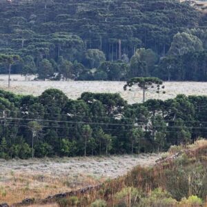 Cidades da Serra registram temperaturas negativas nesta segunda-feira | Foto: Prefeitura de São Joaquim