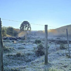 Serra registra temperaturas negativas e geada no domingo das mães | Foto: Mycchel Legnaghi