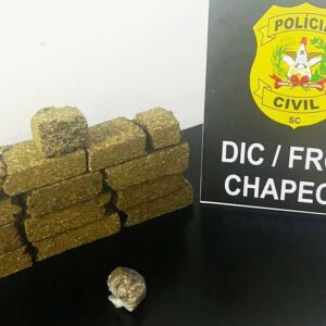 Drogas estavam escondidas sob feno | Imagem: Polícia Civil/Reprodução