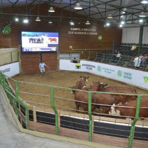 Leilão solidário Agro do Bem arrecada R$ 337 mil para o hospital em Lages | Foto: Paulo Chagas