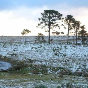 Neve e chuva congelada podem chegar à Serra Catarinense nesta quarta e quinta-feira| Foto: Divulgação/SECOMSC