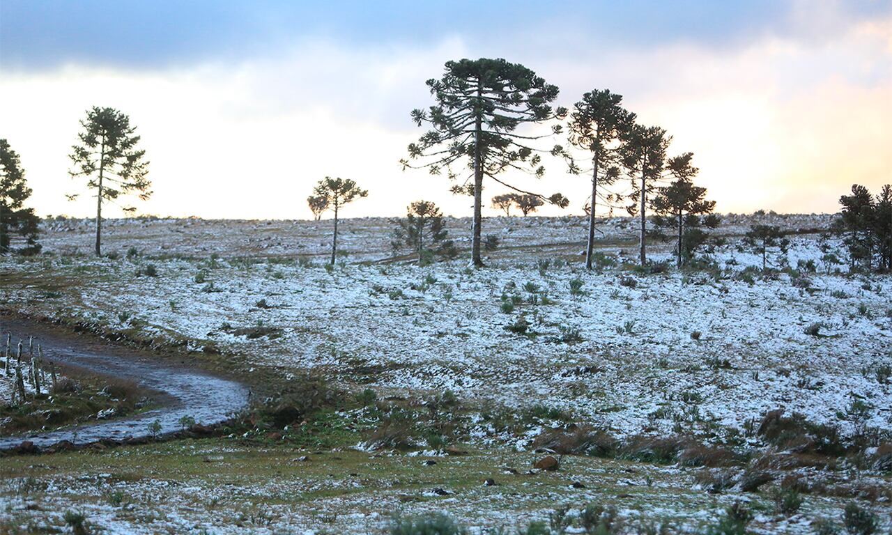 Neve e chuva congelada podem chegar à Serra Catarinense nesta quarta e quinta-feira| Foto: Divulgação/SECOMSC