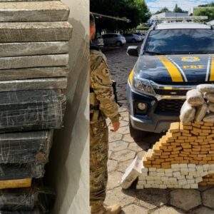 PRF apreende 660 kg de drogas em rodovias federais de SC | Imagem: PRF/ reprodução