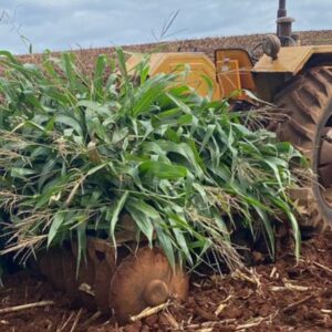 Idoso morre atropelado por trator em área rural de SC | Foto: CBMSC. 