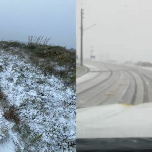 Muita neve! Serra do Rio do Rastro foi interditada após fenômeno | Foto: PMRv/Reprodução