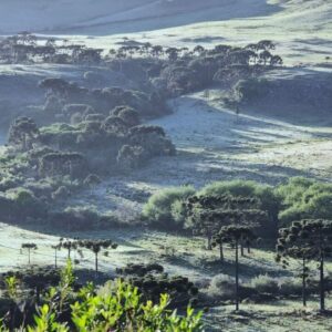 Defesa Civil alerta para frio intenso e possibilidade de neve em SC | Imagem: reprodução/ Defesa Civil