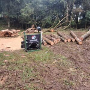 Polícia Ambiental apreende mais de 8m³ de araucária e serraria móvel em Lages| Foto: PMA Lages