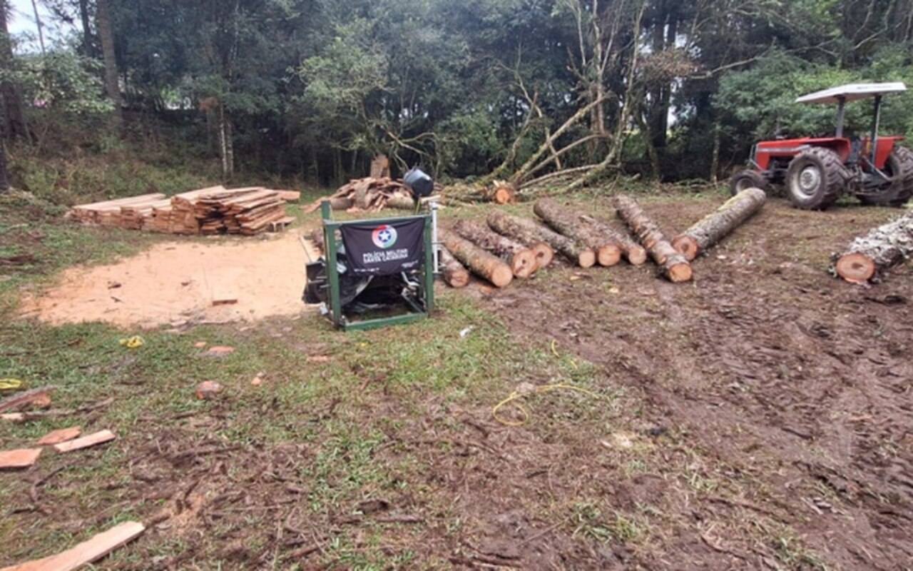 Polícia Ambiental apreende mais de 8m³ de araucária e serraria móvel em Lages| Foto: PMA Lages