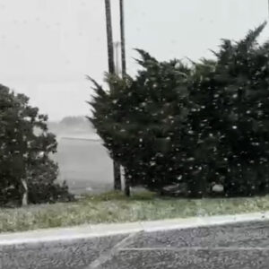 Quatro Cidades da Serra Catarinense registram neve nesta quinta-feira| Foto: PMRv SC