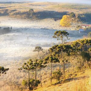 Onda de frio atinge várias regiões e provoca geadas | Foto: Mycchel Legnaghi