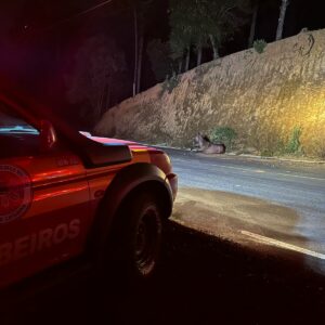 Foto: CBMSC/reprodução