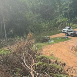 Polícia acha local onde jovens carbonizados podem ter sido executados em SC. - Foto: PCSC/Reprodução