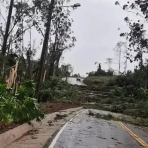 Palmitos decreta emergência após tornado confirmado deixar rastro de destruição e uma morte. - Foto: Redes sociais/Reprodução