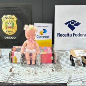 Boneca recheada com drogas é apreendida em SC durante operação nos Correios. - Foto: PCSC/Reprodução